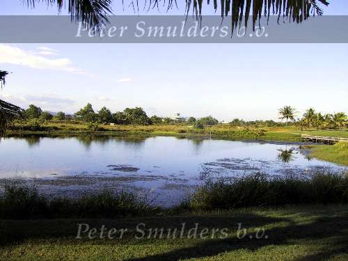 Maandag 31 juli 2000
Borneo Golf & Country club
Golfbaan in Maleisie