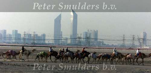 Dubai 8 mei 2001
Kamelendrijvers kamelenraces Erg jonge Kamelenjockeys ( v.a. 7 jaar) voor het rijden van wedstrijden en vooral het gokken voor de ouderen