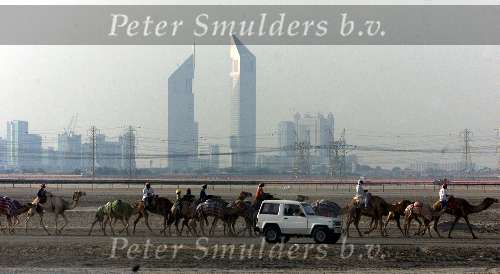Dubai 8 mei 2001
Kamelendrijvers kamelenraces Erg jonge Kamelenjockeys ( v.a. 7 jaar) voor het rijden van wedstrijden en vooral het gokken voor de ouderen