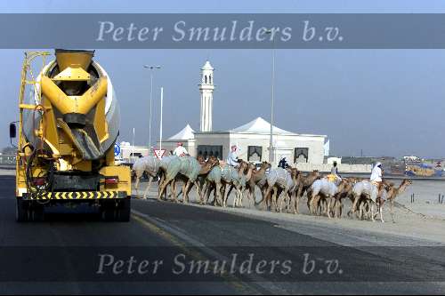 Dubai 8 mei 2001
Kamelendrijvers kamelenraces Erg jonge Kamelenjockeys ( v.a. 7 jaar) voor het rijden van wedstrijden en vooral het gokken voor de ouderen