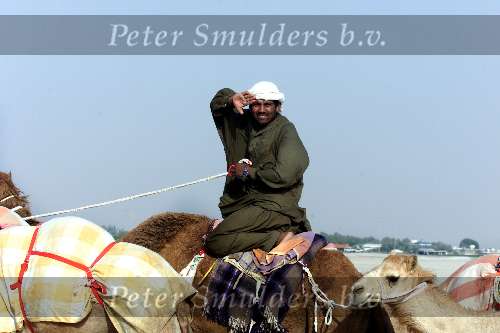 Dubai 8 mei 2001
Kamelendrijvers