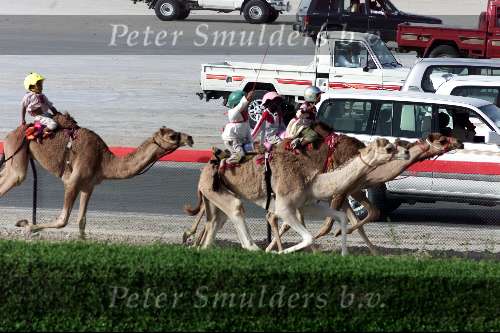 Dubai 8 mei 2001
Kamelendrijvers kamelenraces Erg jonge Kamelenjockeys ( v.a. 7 jaar) voor het rijden van wedstrijden en vooral het gokken voor de ouderen