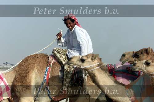 Nad Al Sheba Golfclub
Dubai 8 mei 2001
Kamelendrijvers kamelenraces Kamelejockeys