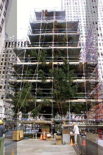 New York 19 november 2000
Winkels op de fifth Avenue
Kerstmis
Opbouw van traditionele Kerstboom