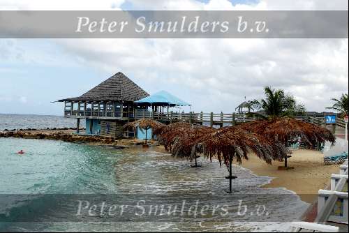 Curacao 7 mei 2002
Prins Willem Alexander en Maxima op Curacao met persconferentie  ivm Pim Fortuyn