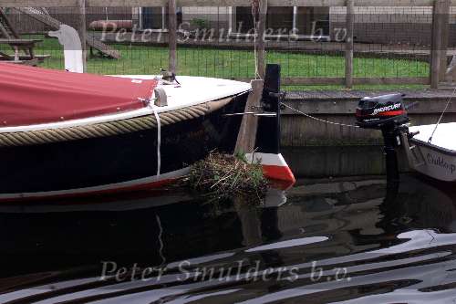 Eenden nest bij sloep