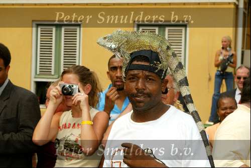Curacao 67 mei 2002
Prins Willem Alexander en Maxima bezoeken Curacao
Leguana