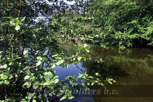 Amsterdam, 17 mei 2002
Vissen op karper in het amsterdams Bos