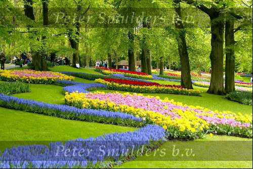 Lisse 6 mei 2003
keukenhof in lisse