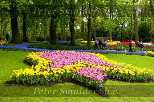 Lisse 6 mei 2003
keukenhof in lisse