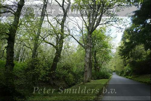 Schotland 10 mei 2003
Skibo Castle, op dit kasteen zijn o.a. Madonna en Paul Mc Cartney getrouwd