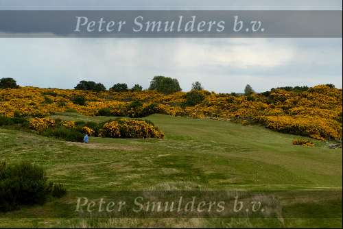 Schotland 10 mei 2003
Skibo Castle
The Carnegie Golfcourse