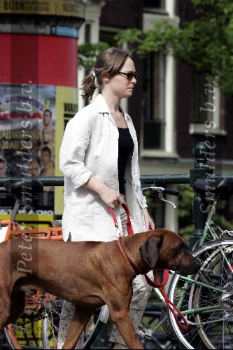 Amsterdam 16 mei 2004
Prinses Margaritha wandelen met hond