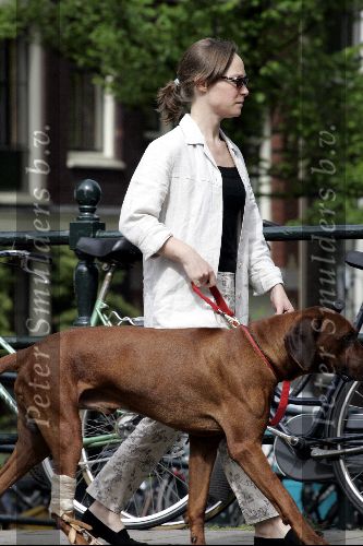 Amsterdam 16 mei 2004
Prinses Margaritha wandelen met hond