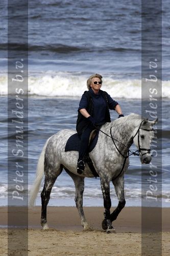 Katwijk 29 mei 2005
Koningin Beatrix paard rijden op het strand van katwijk.