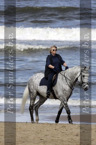 Katwijk 29 mei 2005
Koningin Beatrix paard rijden op het strand van katwijk.
