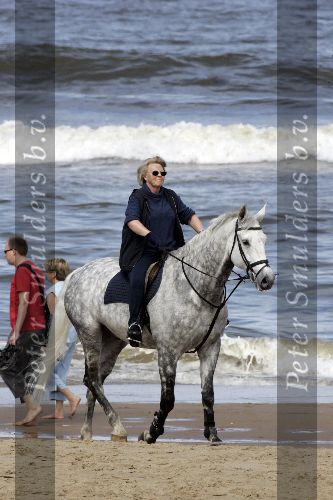 Katwijk 29 mei 2005
Koningin Beatrix paard rijden op het strand van katwijk.