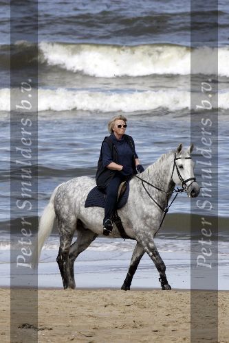 Katwijk 29 mei 2005
Koningin Beatrix paard rijden op het strand van katwijk.