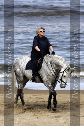 Katwijk 29 mei 2005
Koningin Beatrix paard rijden op het strand van katwijk.