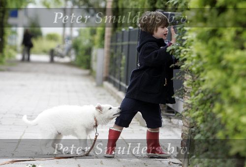 Amsterdam 11 mei 2005
Thijmen Oerlemans met hond evert