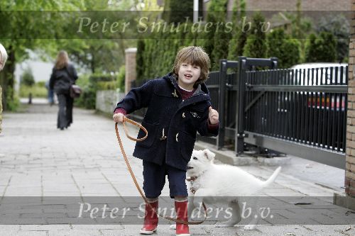Amsterdam 11 mei 2005
Thijmen Oerlemans met hond evert