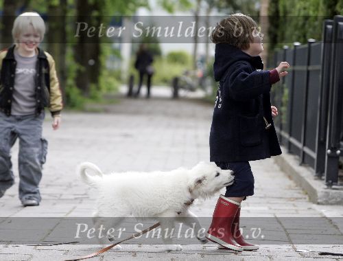 Amsterdam 11 mei 2005
Thijmen Oerlemans met hond evert
