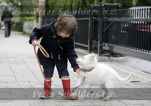 Amsterdam 11 mei 2005
Thijmen Oerlemans met hond evert