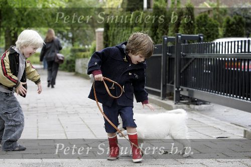 Amsterdam 11 mei 2005
Thijmen Oerlemans met hond evert