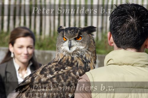 Muiden 3 september 2006
Prinses Aimee en Prins Floris bij muiderslot voor make af difference day. met roofvogel uil
Peter Smulders bv