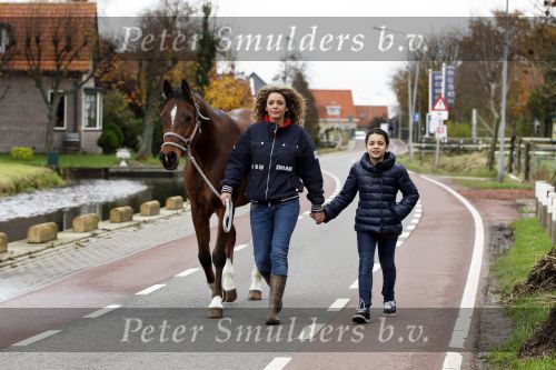 den Ilp 5 november 2010
Fajah Lourens haalt haar dochter Irem van school en gaat daarna met haar naar haar paarden op de manege.
Peter Smulders bv