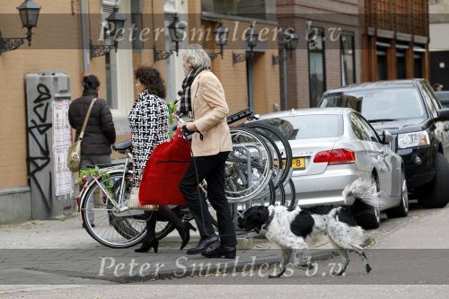 Amsterdam 26 oktober 2010
Henriette Tol met man en hond op de pc hooftstraat.
Peter Smulders bv