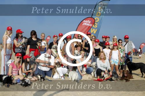 Scheveningen 2 oktober 2011
Bridget Maasland organiseert de dogwalk op het strand van Scheveningen. Henk Bres Isabelle Brinkman Sander janson en Loretta Schrijver
Peter Smulders bv