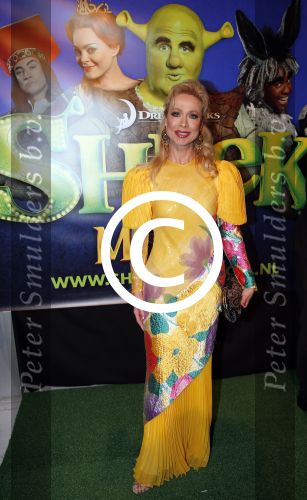 Amsterdam 4 november 2012
Premiere Shrek in het theater van de RAI. gemma v eck
Peter Smulders bv
