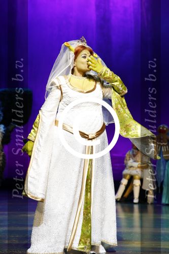Amsterdam 4 november 2012
Premiere Shrek in het theater van de RAI. Kim Lian v d MEIJ
Peter Smulders bv