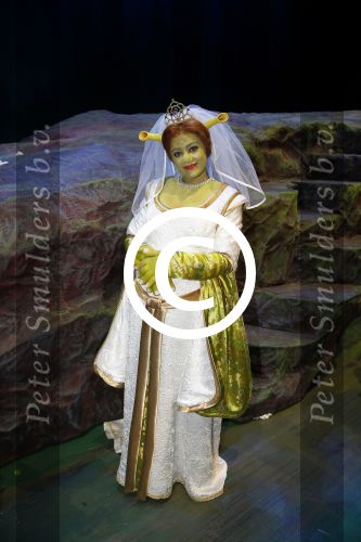 Amsterdam 4 november 2012
Premiere Shrek in het theater van de RAI. Kim Lian v d MEIJ
Peter Smulders bv