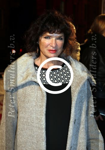 Amsterdam 19 november 2012
Premiere alles is familie in het nieuwe de la mar theater.
Linda v Dijck
Peter Smulders bv