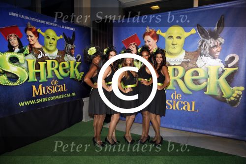 Amsterdam 4 november 2012
Premiere Shrek in het theater van de RAI. promotie dames
Peter Smulders bv