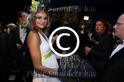 Amsterdam 4 november 2012
Premiere Shrek in het theater van de RAI. promotie dames
Peter Smulders bv