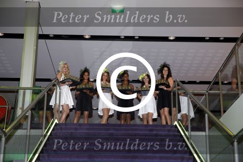 Amsterdam 4 november 2012
Premiere Shrek in het theater van de RAI. promotie dames
Peter Smulders bv