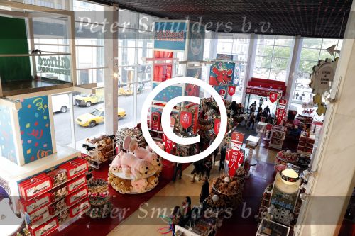 New York 18 oktober 2012
Speelgoedwinkel FAO Schwarz n New York.
Peter Smulders bv