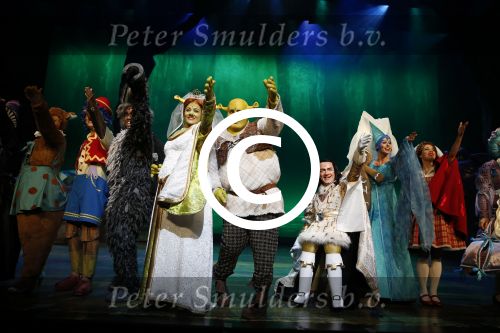 Amsterdam 4 november 2012
Premiere Shrek in het theater van de RAI. William Spaaij als shrek
Peter Smulders bv