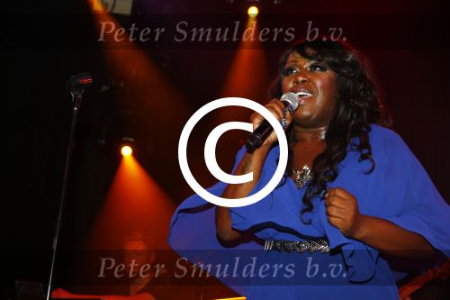 Amsterdam 4 november 2013
Presentatie cd en optreden van Berget Lewis met haar band en broer Alvin in Paradiso.