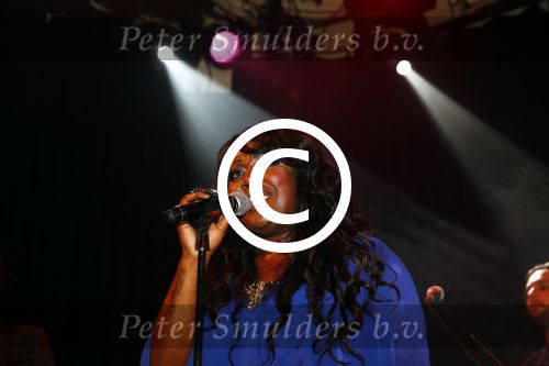 Amsterdam 4 november 2013
Presentatie cd en optreden van Berget Lewis met haar band en broer Alvin in Paradiso.