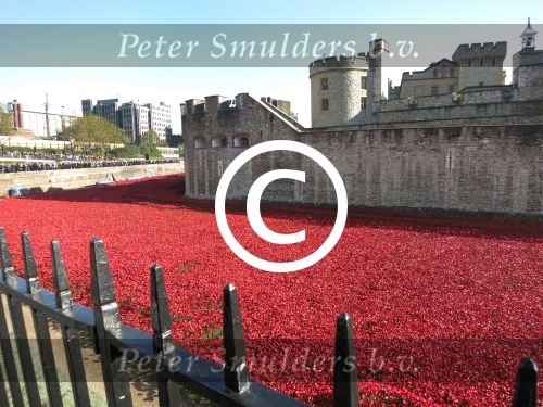 Londen, 3 -4 en 5 November 2014
Harrods, Tower Bridge, Ondergrondse