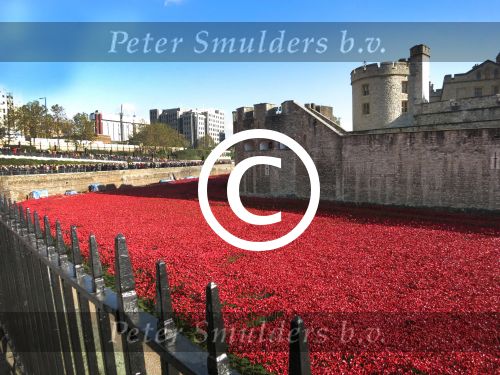 Londen, 3 -4 en 5 November 2014
Harrods, Tower Bridge, Ondergrondse