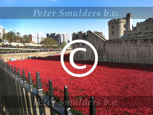 Londen, 3 -4 en 5 November 2014
Harrods, Tower Bridge, Ondergrondse