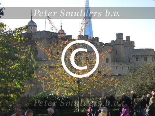 Londen, 3 -4 en 5 November 2014
Harrods, Tower Bridge, Ondergrondse
