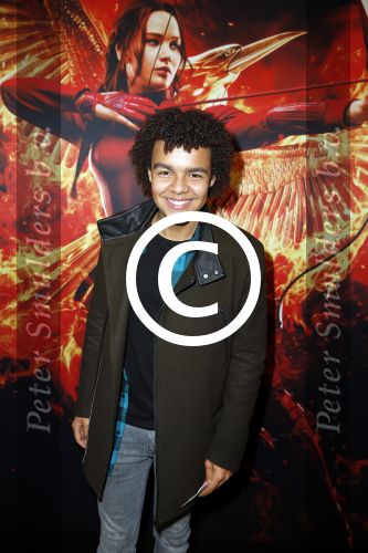 Amsterdam 16 november 2015
Premiere Hungar games in pathe arena.
Elindo Avastia