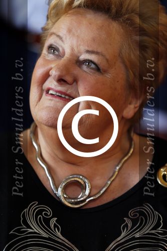 Amsterdam 3 november 2015
Perspresentatie en 10 jarig bestaan Max tv op paleis soestdijk.
Erica Terpstra