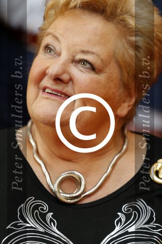 Amsterdam 3 november 2015
Perspresentatie en 10 jarig bestaan Max tv op paleis soestdijk.
Erica Terpstra